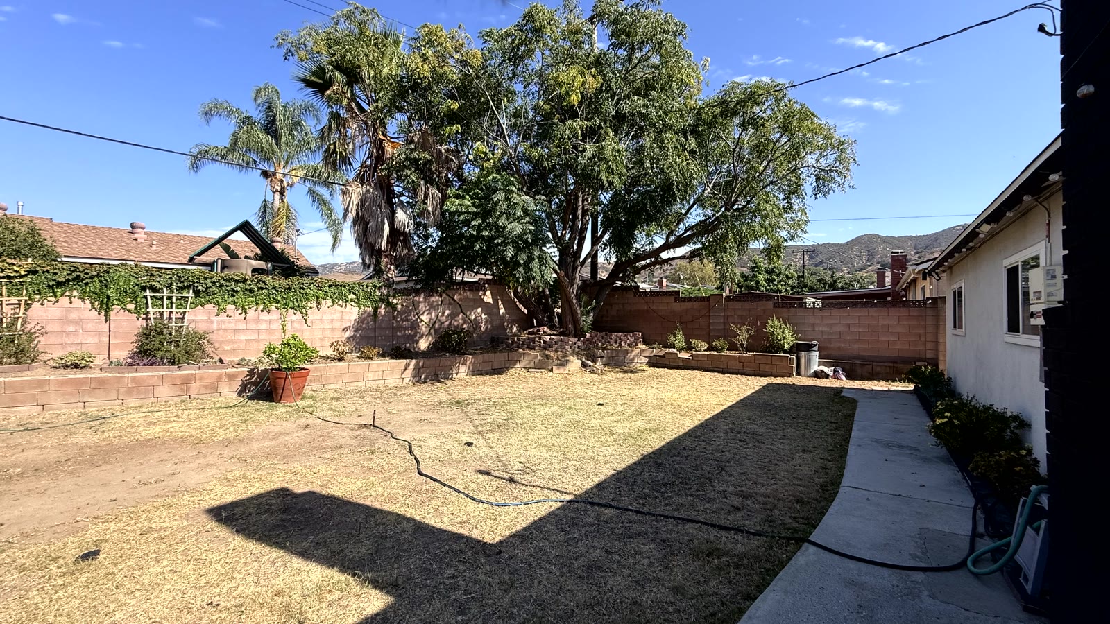 Wide rear yard fully enclosed by tan block walls with low raised planter beds along them, a mature shade tree at the rear corner and a hillside backdrop beyond the wall.
